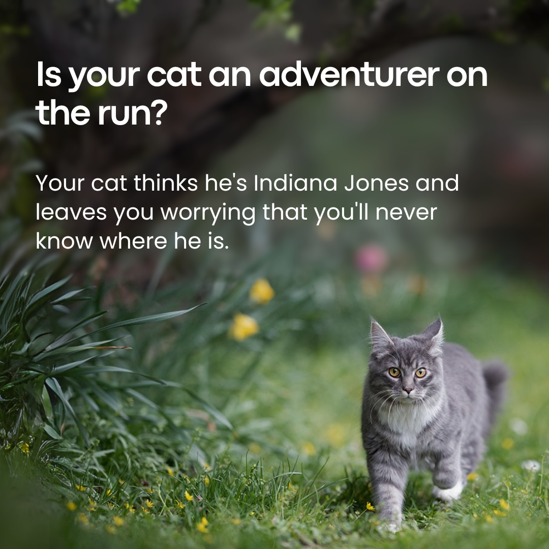 Cat GPS Tracker 3-in-1 Without Subscription